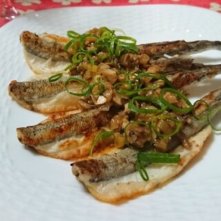さよりレシピ 作り方の人気順 簡単料理の楽天レシピ さよりレシピ 作り方の人気順 簡単料理の楽天レシピ
